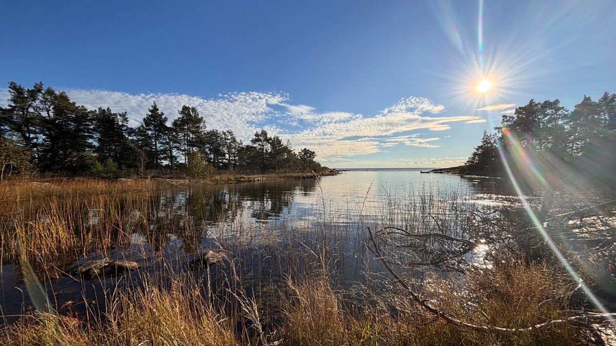 Photo of a small bay with trees on both sides, sun and ski refelcting in the clear shallow water.