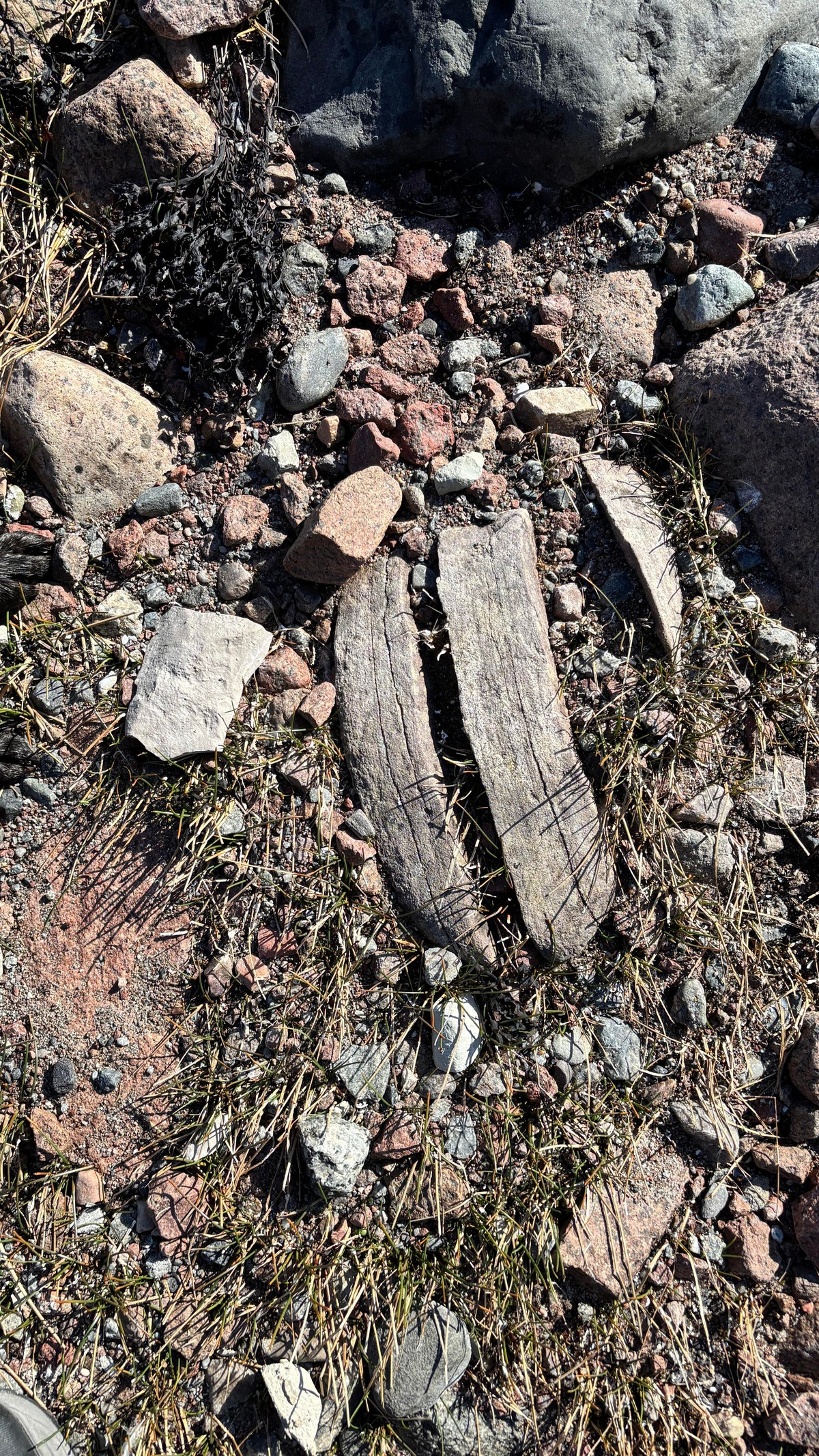 Photo of a mostly buried rock that has split into vertical pieces but a piece in the middle is missing.