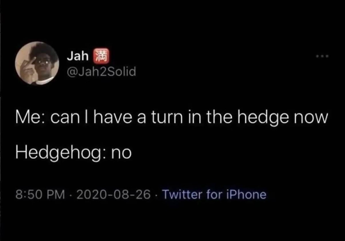 Me: can I have a turn in the hedge now Hedgehog: no