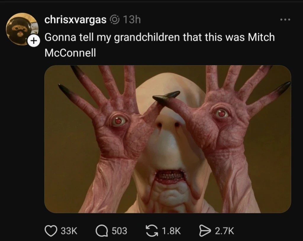 🐢 