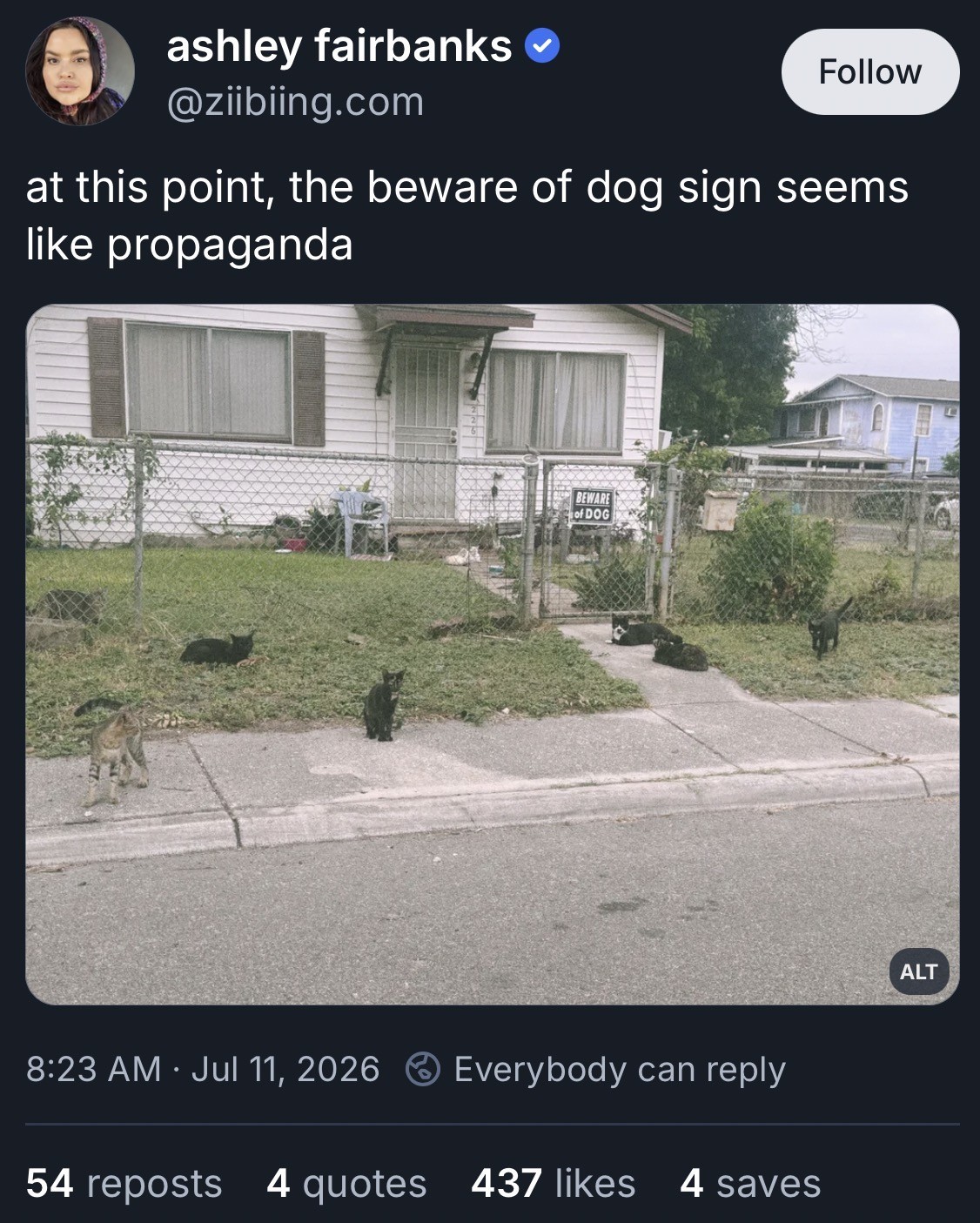 Post by Bluesky user @ziibiing.com. The post reads, "at this point, the beware of dog sign seems like propaganda". There is a photo posted of a house with a fence that has a "BEWARE OF DOG" sign. There are a lot of cats - at least eight - in front of and behind the fence.